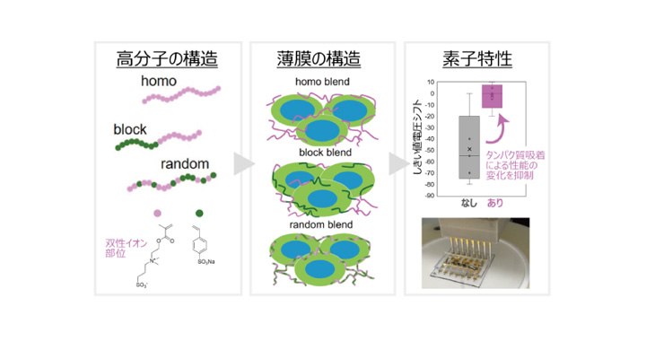 抗付着性の生体センサー用高分子材料を開発