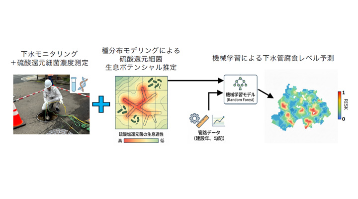 下水モニタリング×生態学×機械学習：老朽下水道インフラを予防保全