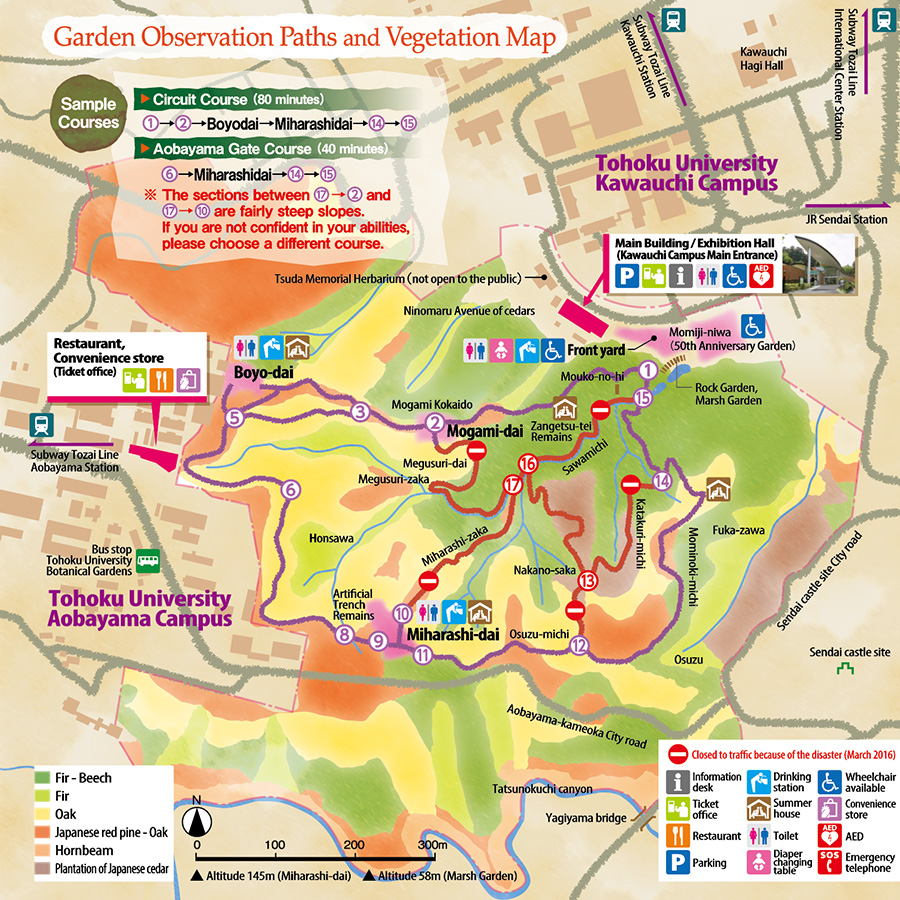 Garden Observation Paths and Vegetation Map