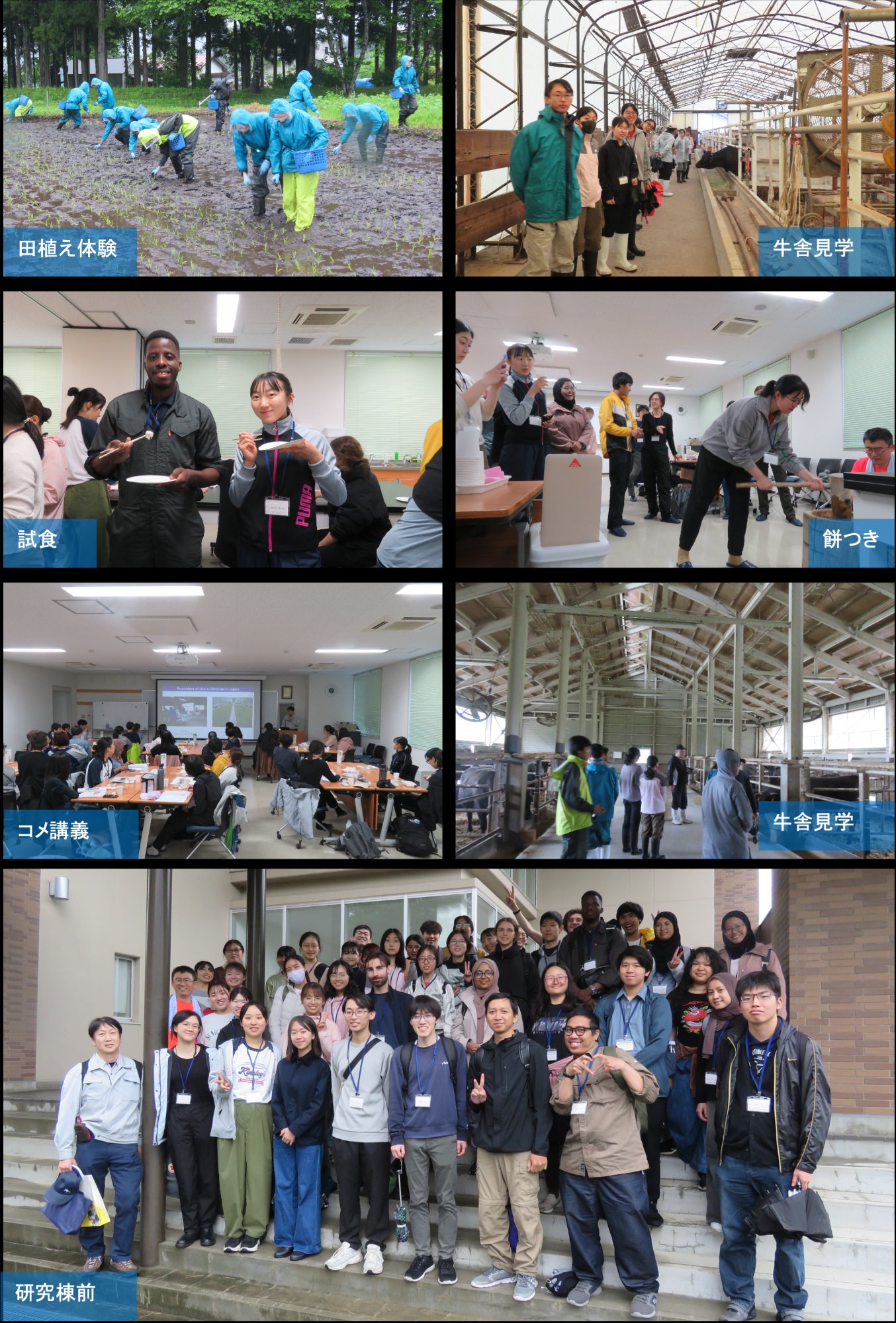 当日の活動の様子