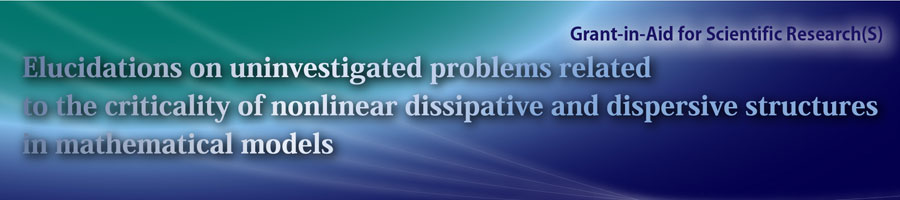 Elucidations on uninvestigated problems related to the criticality of nonlinear dissipative and dispersive structures in mathematical models