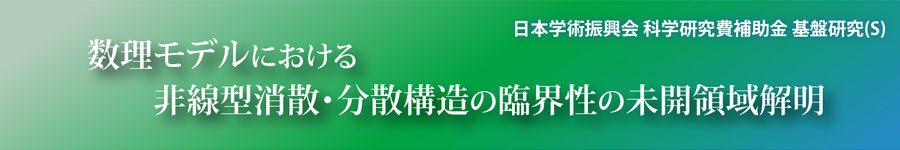 科学研究費補助金　基盤研究(Ｓ)「数理モデルにおける非線型消散・分散構造の