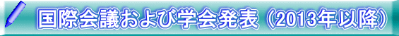 国際会議および国内学会発表等（2013年以降）
