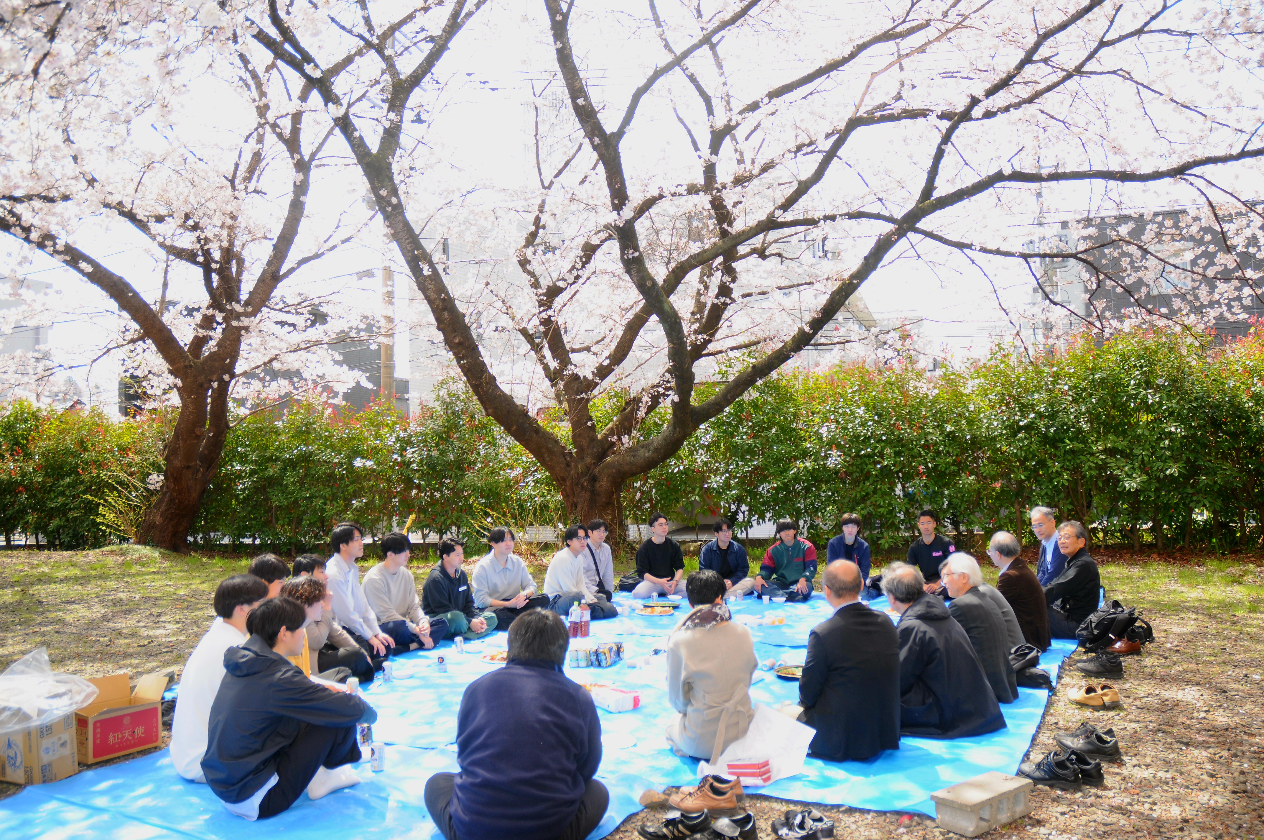 花見の様子2